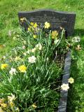 image of grave number 292496